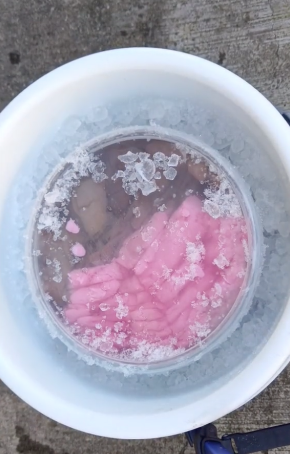 ketulan ais dan bekas aiskrim