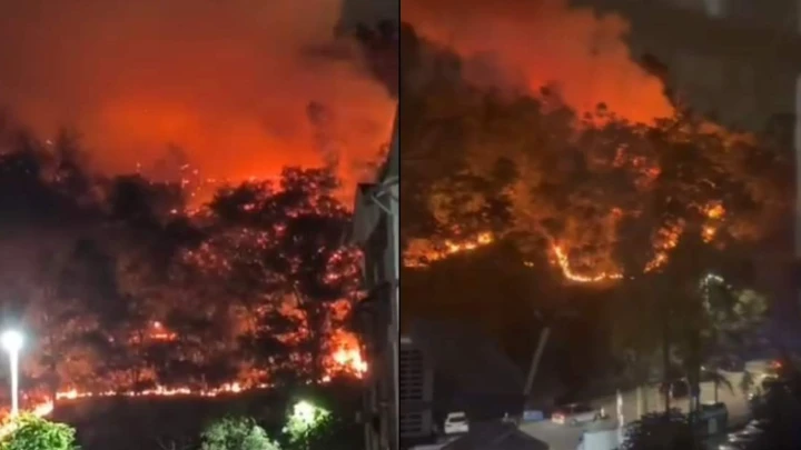 Kebakaran Hutan Berhampiran Lebuhraya MEX