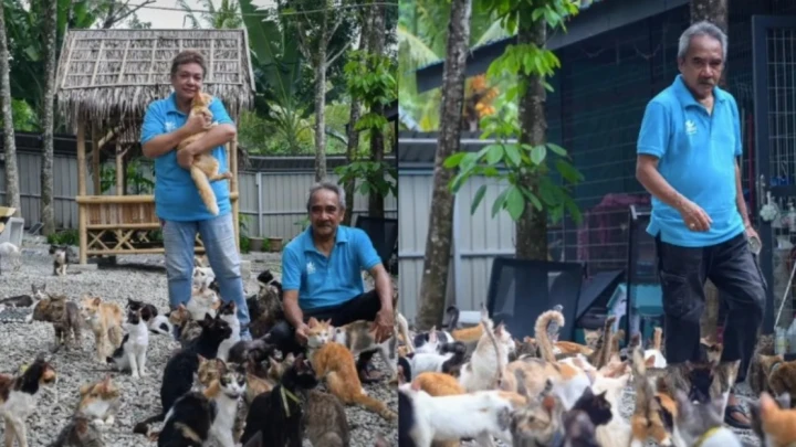 Si Bulus Cium Tangan Sebelum ‘Pergi’, Antara Detik Pilu Hashim Jaga 400 Kucing Terbiar