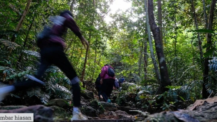 Hutan Simpan Selangor Ditutup