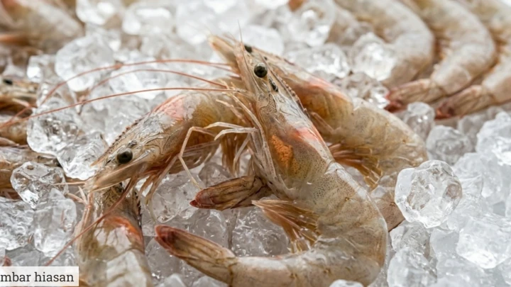 Udang