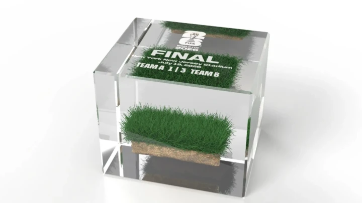 rumput piala dunia
