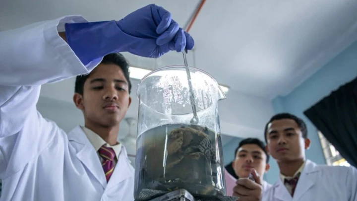 suplemen ikan bandar raya