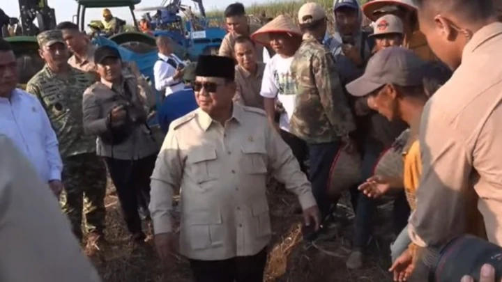Prabowo Suruh Tanam Padi