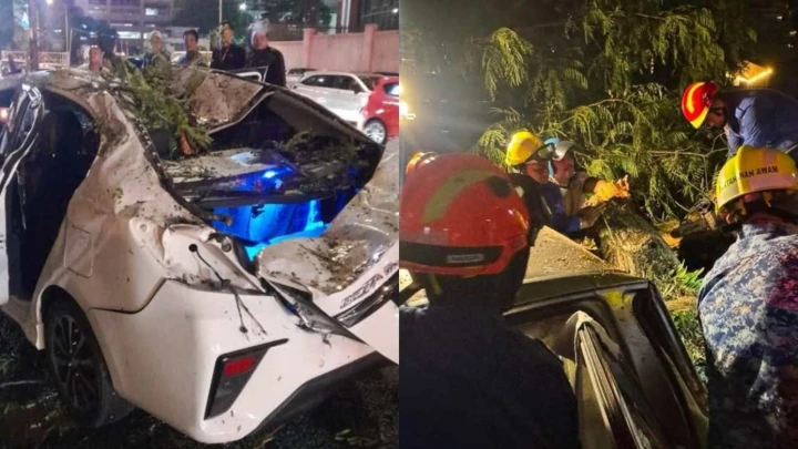 Lelaki Maut Dihempap Pokok