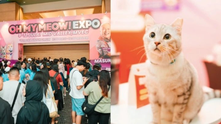 OHMYMEOW! EXPO 2026