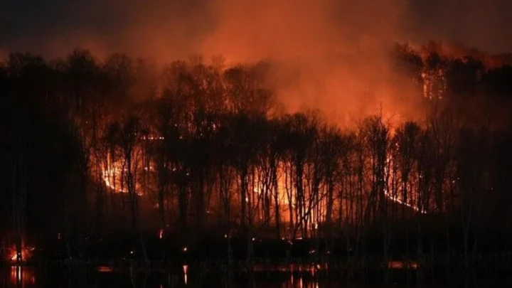 Kebakaran hutan di Belgium
