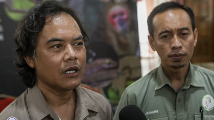 Cicak Tokay Hitam