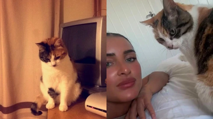 Akhirnya temukan semula kucing kesayangan