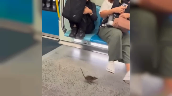 MRT