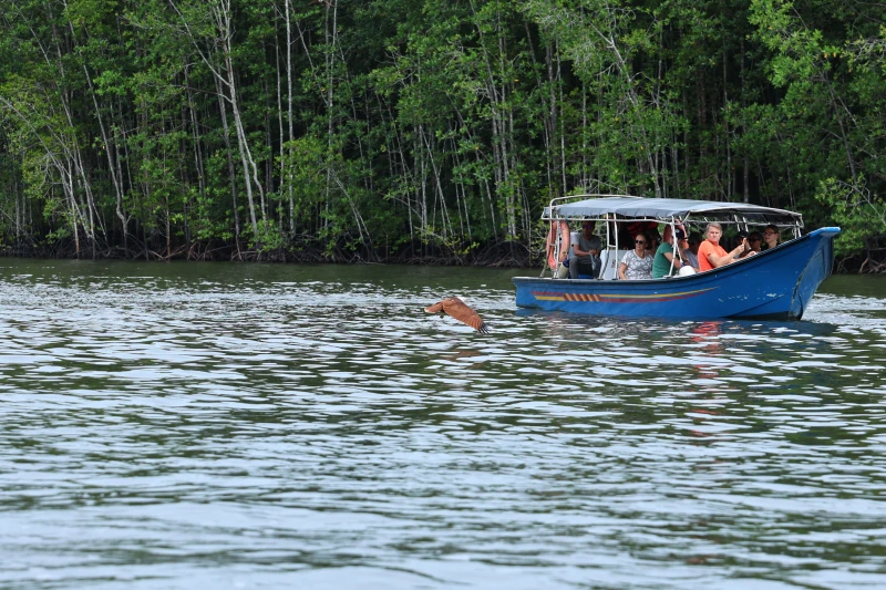 Ke langkawi Naik roro