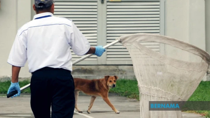 Tangkap Anjing Liar