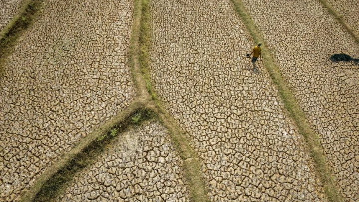 Super El Niño Dijangka Ragut 451,000