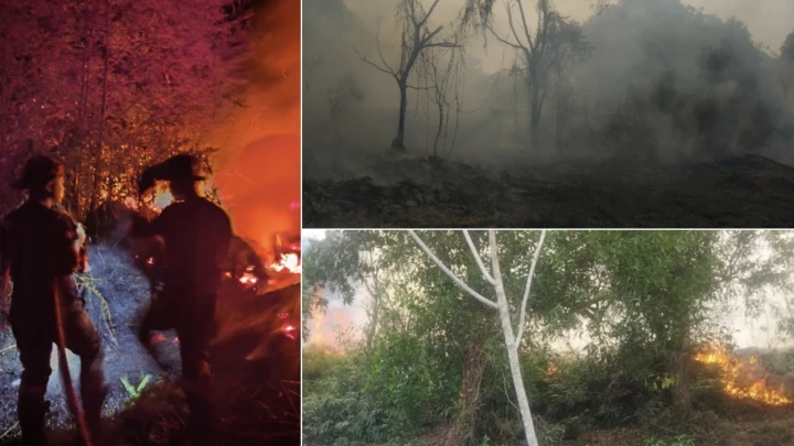 Hutan FRIM Bidor Terbakar