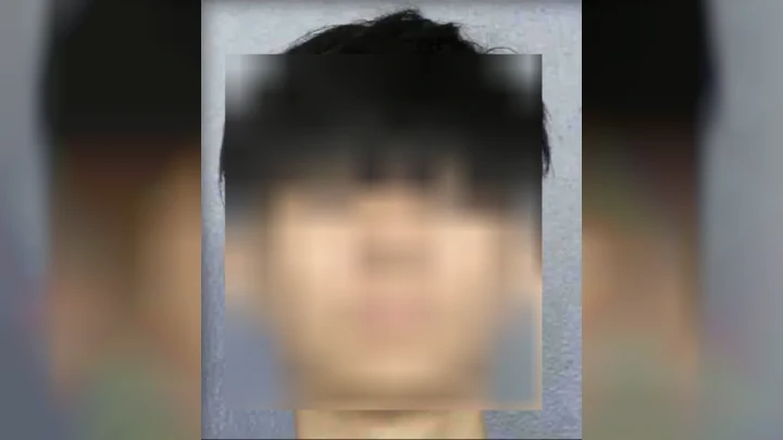 Lelaki Singapura Mengaku Bersalah