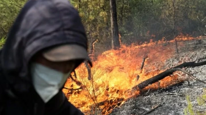 Hukuman Mati Bakar Hutan