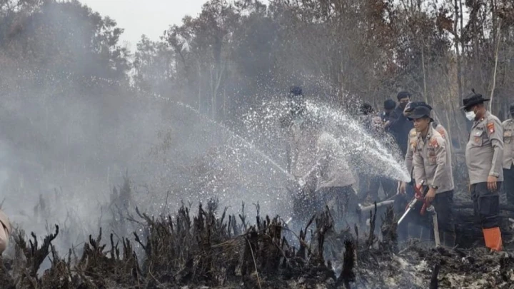 Pemadaman kebakaran hutan melebihi 80 peratus