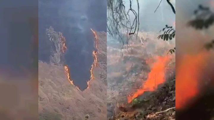 Angkara Manusia