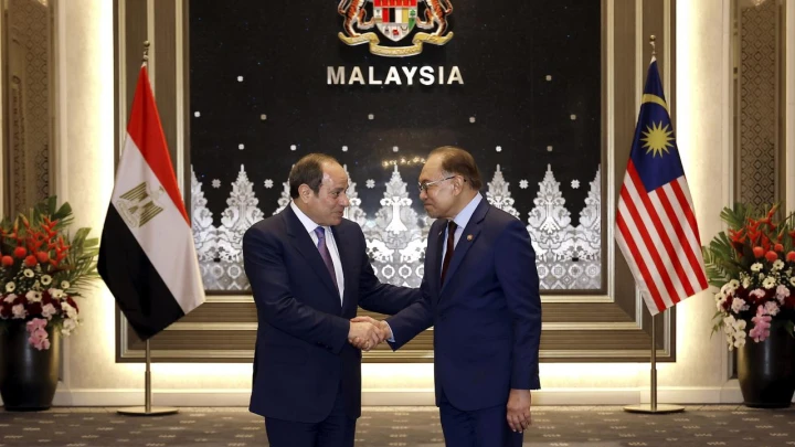 Anwar, El-Sisi Adakan Pertemuan