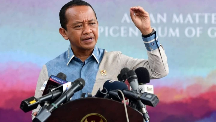Petir, kelawar