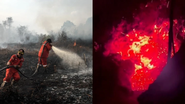 Zombie Fires